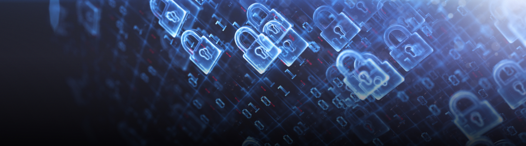 Personal Cyber Insurance Online Insurer with Fast Claim
