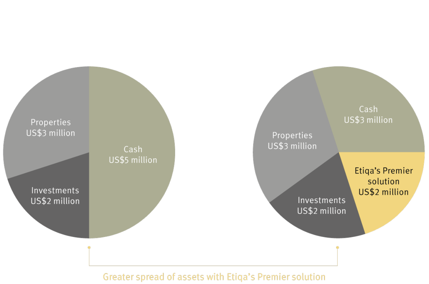 Premier Solutions Etiqa Insurance Singapore